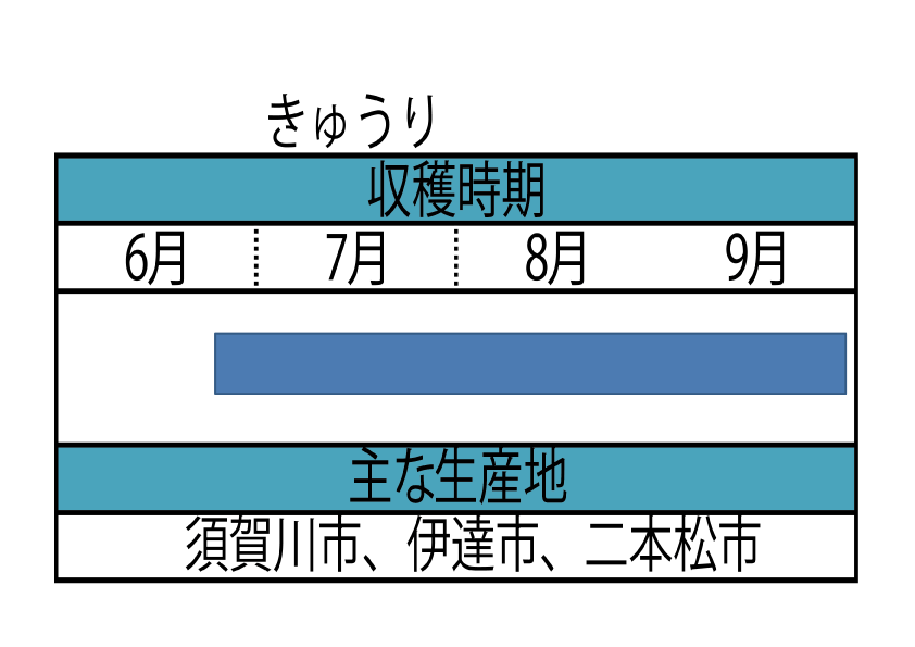 福島県のきゅうりの収穫時期等の表です
