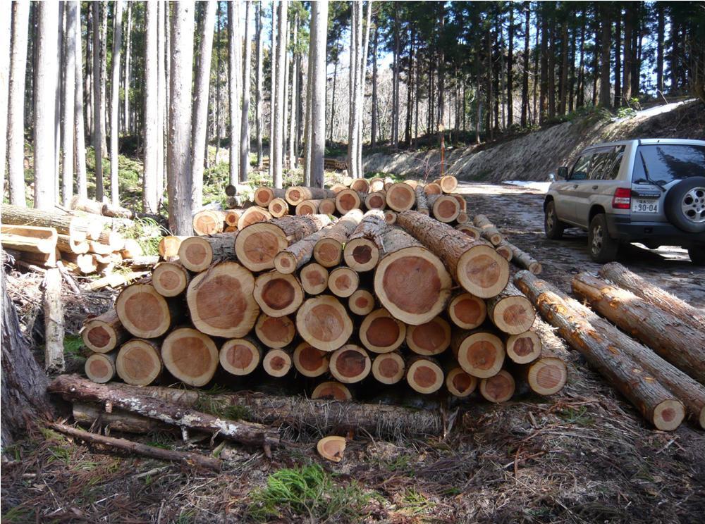 一般造林事業