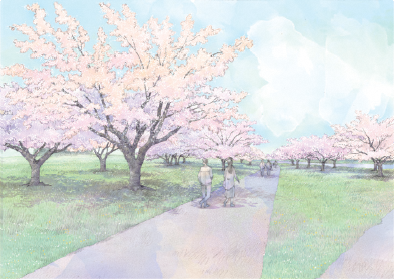 櫻花之丘的影像