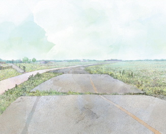 因海嘯等造成的路面損壞1