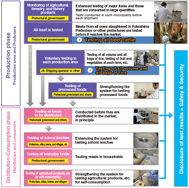 Image: Flow of inspection