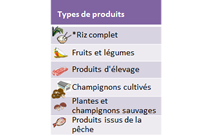 Image of the page contents 01