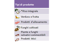 Image of the page contents 01