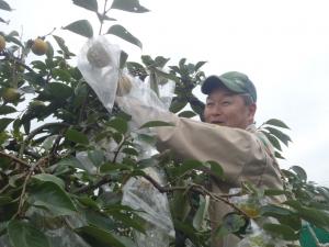 固形アルコール入り袋かけ作業