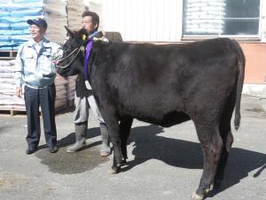 グランドチャンピオンの「みきちゃん号」