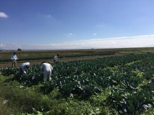 巡回指導の様子