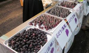 いたキャン２試食２