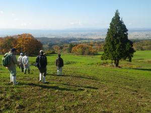 牧草の発芽状況