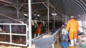 スーパーアイミートによる検査風景