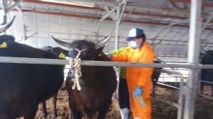 センサーを移動させ検査を実施