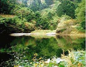 ケシ子ため池の画像