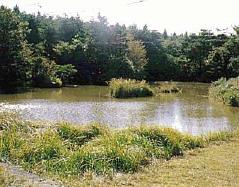 二つ沼ため池