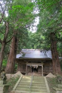八幡神社の二本スギ
