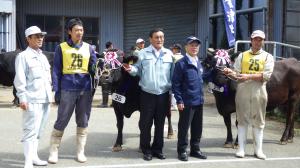 グランドチャンピオン入賞牛
