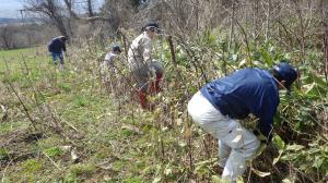有刺鉄線の設置作業