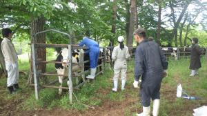 放牧衛生検査の実施状況