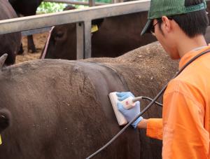 センサーの装着