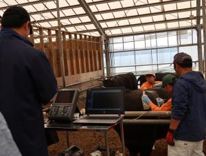 モニターによる脂肪交雑の判定