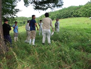 扇ヶ峰牧野での研修の様子