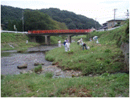 地域の方による新川の草刈り、ゴミ拾いの様子