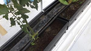 ヤシ殻を用いた隔離栽培キット