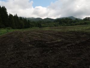 播種前のほ場