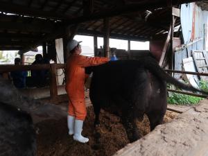 センサーの装着による測定