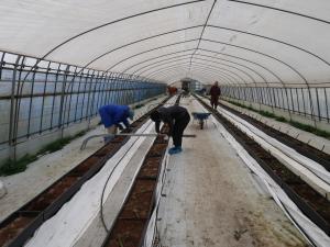 片付け前の様子