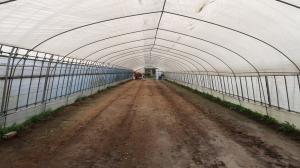 片付け後の様子