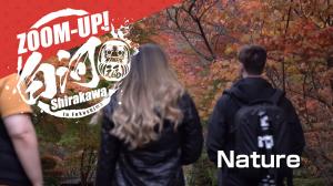 download banner of movie ”Nature”動画「自然」のダウンロードバナー