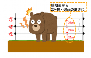 クマ対策の電気柵