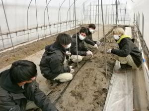 学生が丹精込めて栽培したアスパラガス