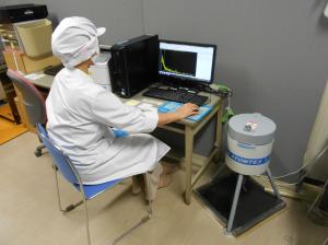 自家消費野菜の検査