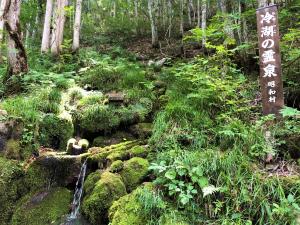 きれいな水を提供する森林