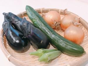 県内における自家消費野菜等の放射能検査