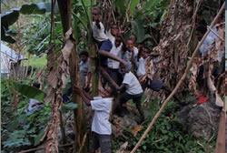 農業の授業 写真