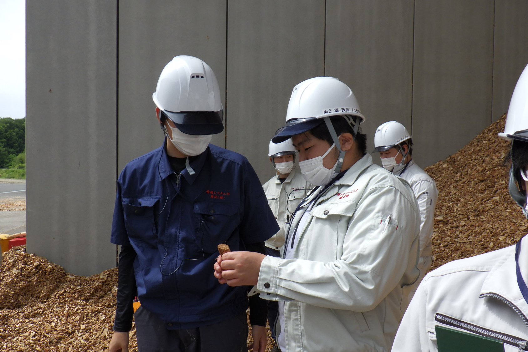 木質バイオマス