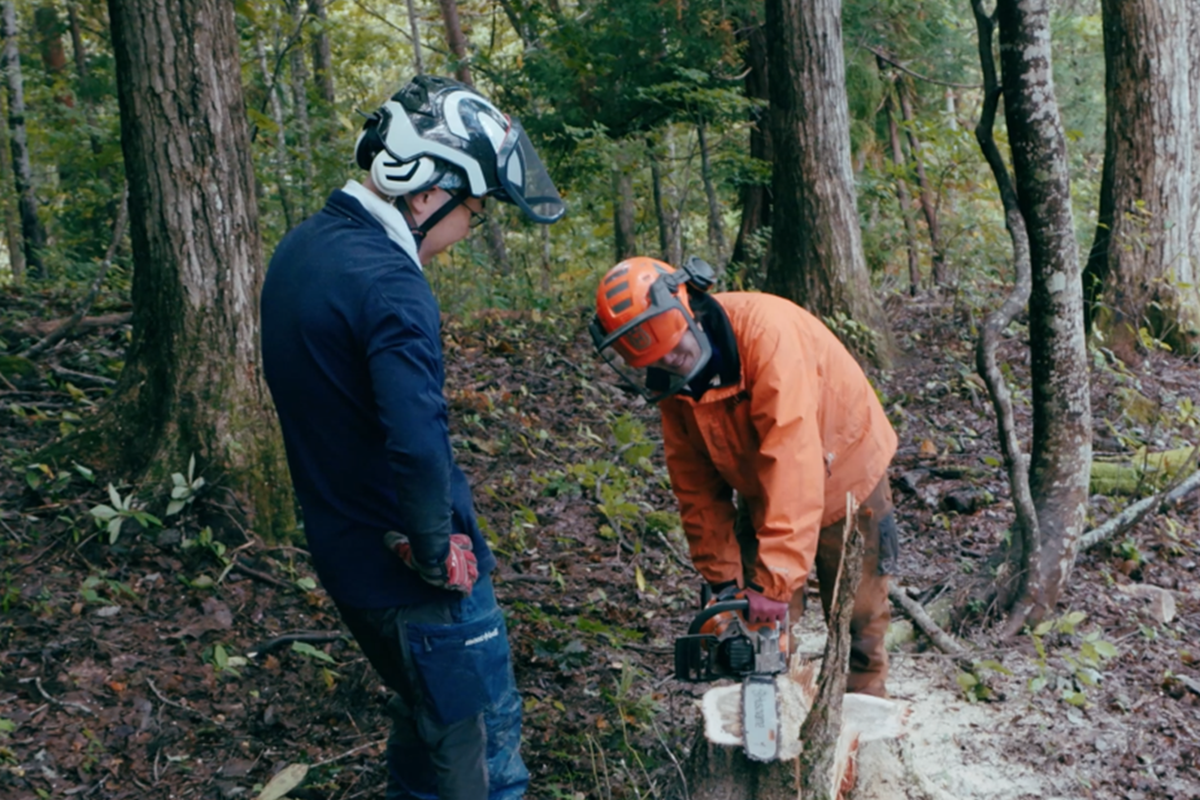 インターンシップ