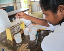 理科の実験 写真