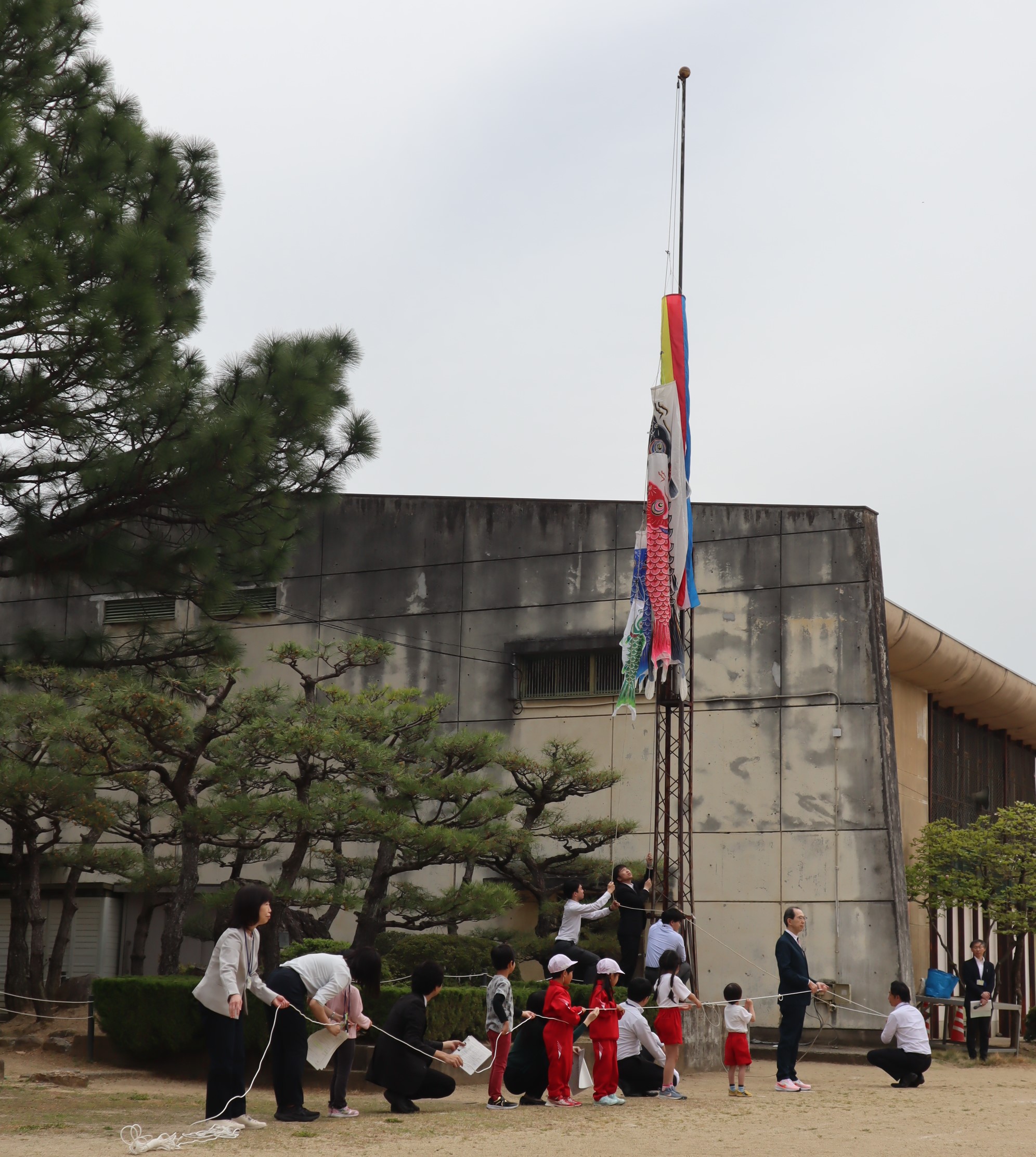 掲揚している様子