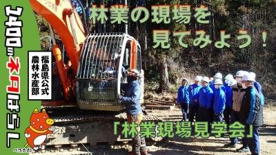 林業の現場を見てみよう