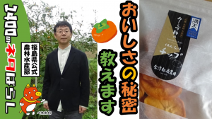 おやつやおつまみにおすすめ!