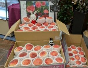 20250804_ガーデンパレス桃