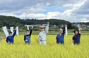 令和7年産「福､笑い」稲刈り写真1