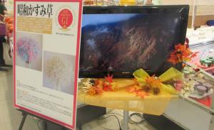 奥会津物産フェア