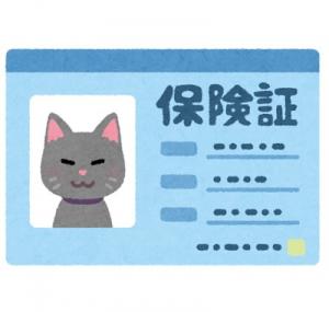 猫の保険証