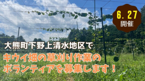 大熊町キウイ畑の草刈り