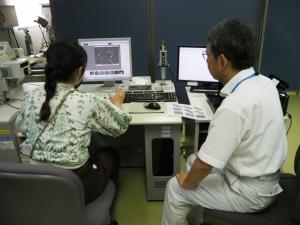 分析・化学科
