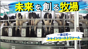 シャインコーストファームサムネイル