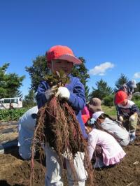 二本松幼稚園2